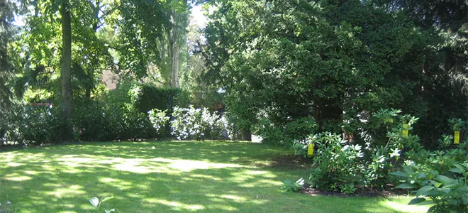 Garten der Schönheitsklinik Berlin mit ruhiger Umgebung